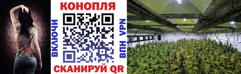 Каннабис MAZAR  Болхов 